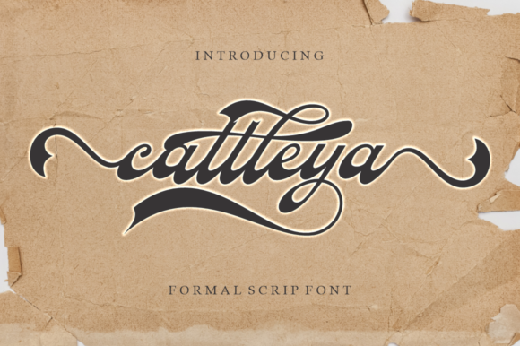 Cattleya: A Thoughtful Script Font for Editorial Warmth