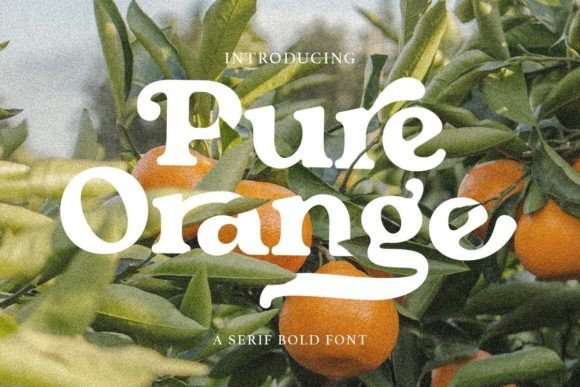 Pure Orange: A Serif That Speaks with Warmth and Character