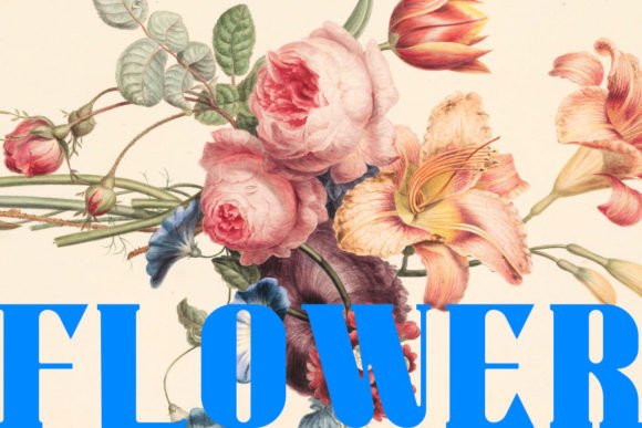 Warriot: A Bold Retro Serif for Editorial Impact